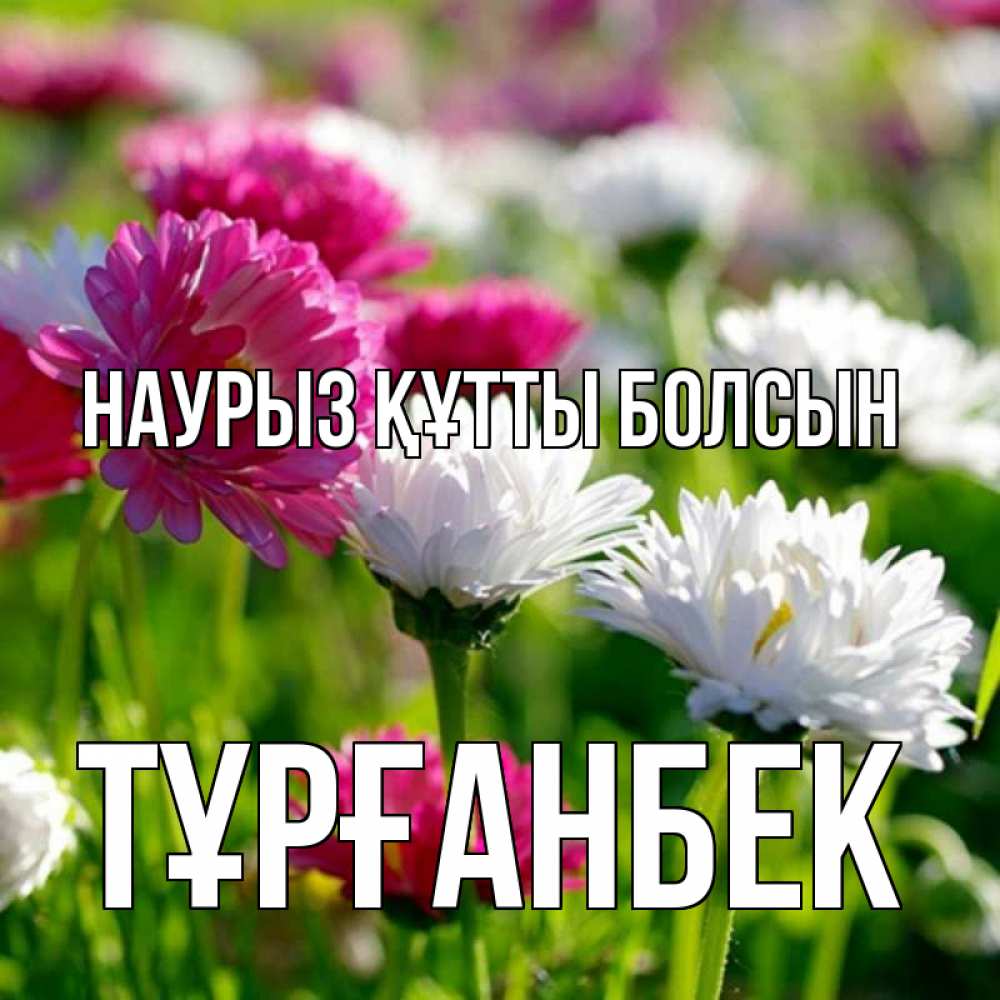 Күн сайын ашық хат с именем, ТҰРҒАНБЕК Наурыз құтты болсын наурыз Онлайн тегін жүктеп алу тілектері бар керемет карта 