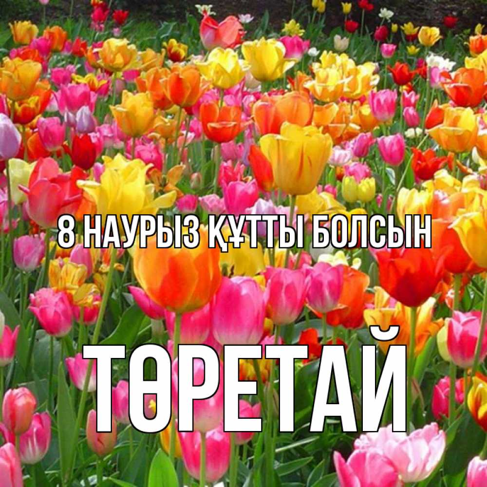 Күн сайын ашық хат с именем, Төретай 8 наурыз құтты болсын на международный женский день Онлайн тегін жүктеп алу тілектері бар керемет карта 