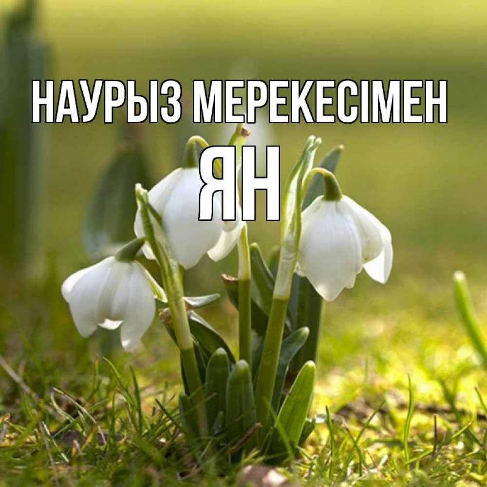 Күн сайын ашық хат с именем, Ян Наурыз мерекесімен ранние цветы 2 Онлайн тегін жүктеп алу тілектері бар керемет карта 