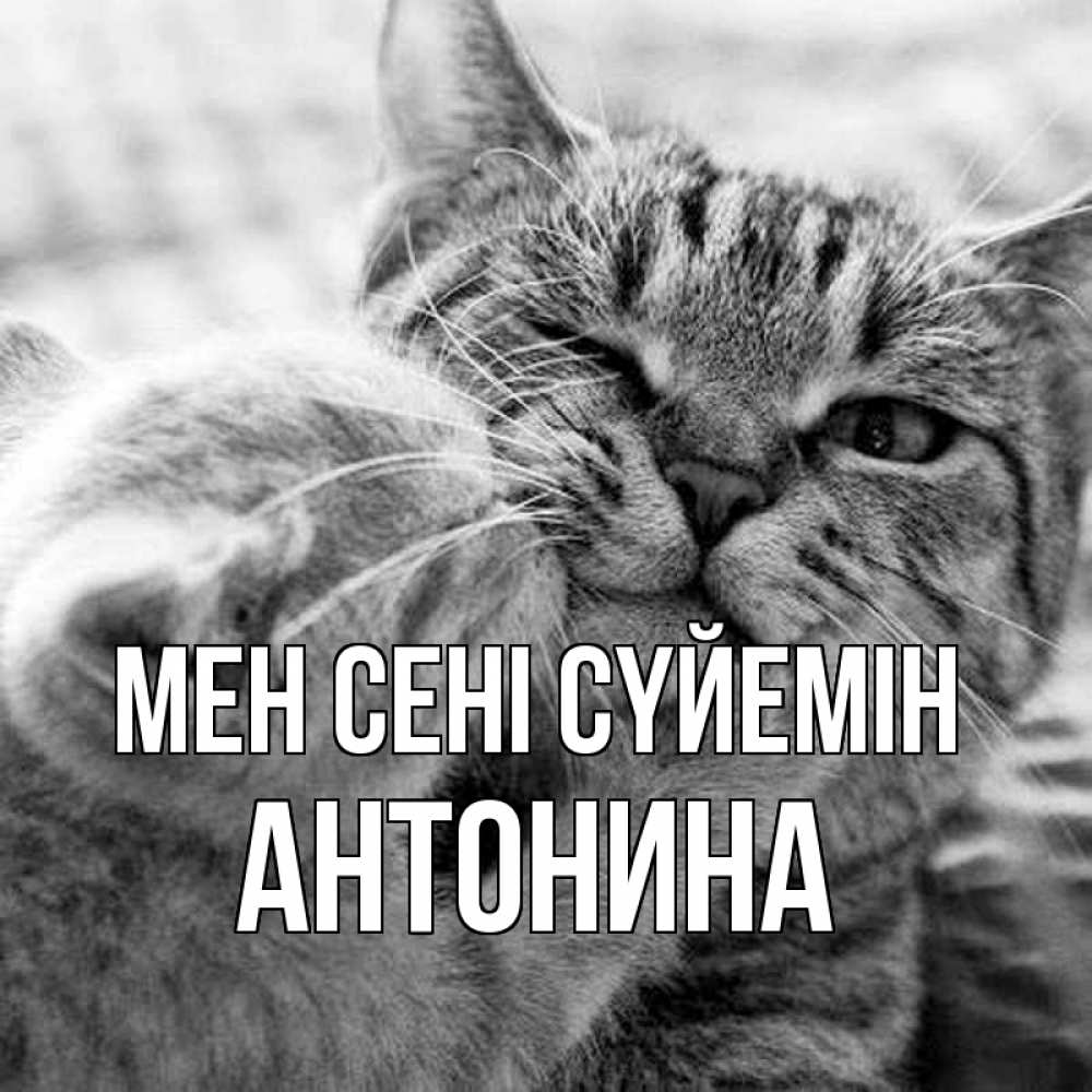 Күн сайын ашық хат с именем, Антонина Мен сені сүйемін коты Онлайн тегін жүктеп алу тілектері бар керемет карта 