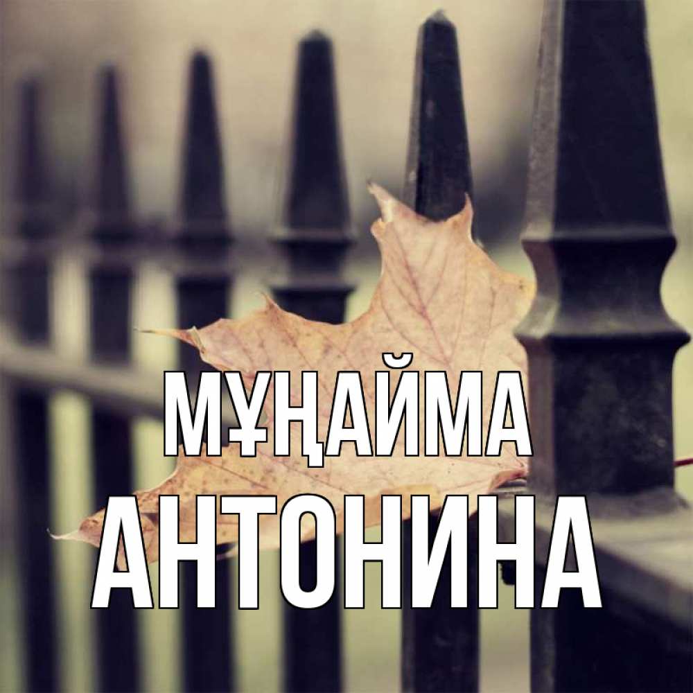 Күн сайын ашық хат с именем, Антонина Мұңайма лист клена Онлайн тегін жүктеп алу тілектері бар керемет карта 
