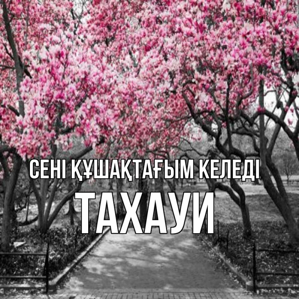 Күн сайын ашық хат с именем, ТАХАУИ сені құшақтағым келеді обработанное фото Онлайн тегін жүктеп алу тілектері бар керемет карта 