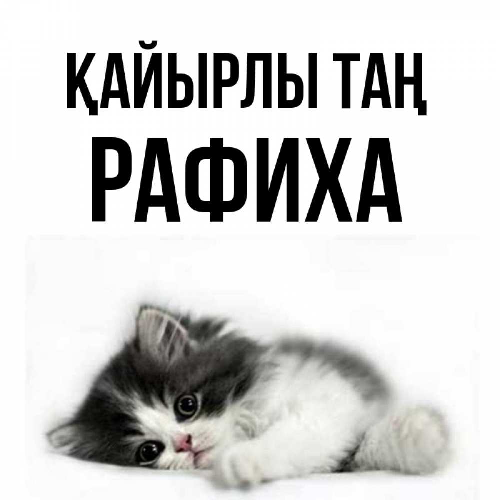 Күн сайын ашық хат с именем, РАФИХА Қайырлы таң кот лапки Онлайн тегін жүктеп алу тілектері бар керемет карта 