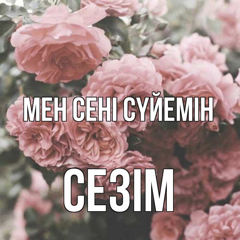 Күн сайын ашық хат с именем, СЕЗІМ Мен сені сүйемін розы 3 Онлайн тегін жүктеп алу тілектері бар керемет карта 