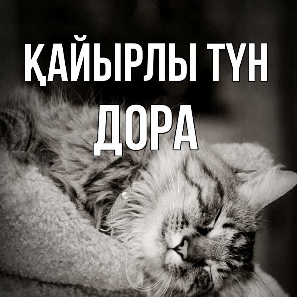Күн сайын ашық хат с именем, Дора Қайырлы түн котярик пушистый Онлайн тегін жүктеп алу тілектері бар керемет карта 