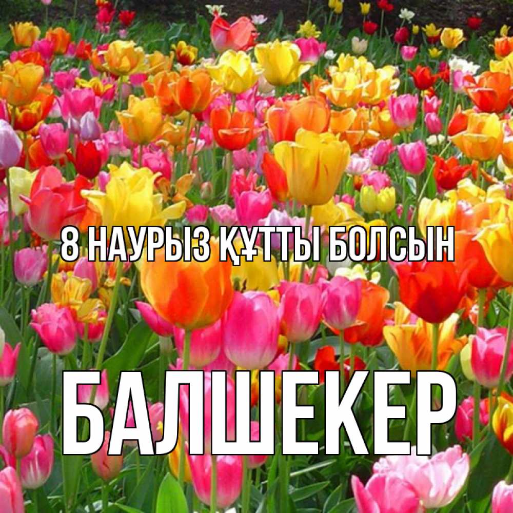Күн сайын ашық хат с именем, БАЛШЕКЕР 8 наурыз құтты болсын на международный женский день Онлайн тегін жүктеп алу тілектері бар керемет карта 