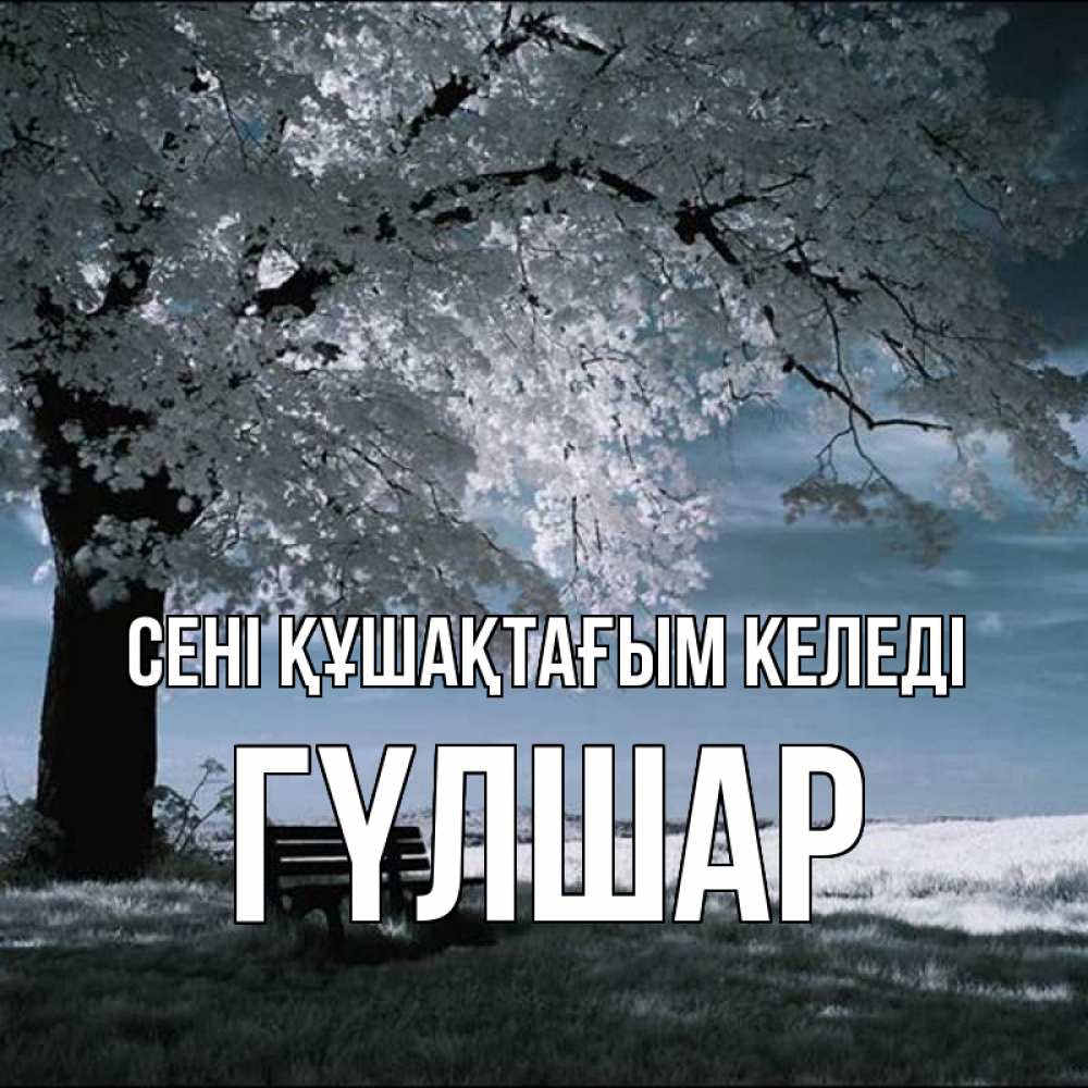 Күн сайын ашық хат с именем, ГҮЛШАР сені құшақтағым келеді дерево Онлайн тегін жүктеп алу тілектері бар керемет карта 