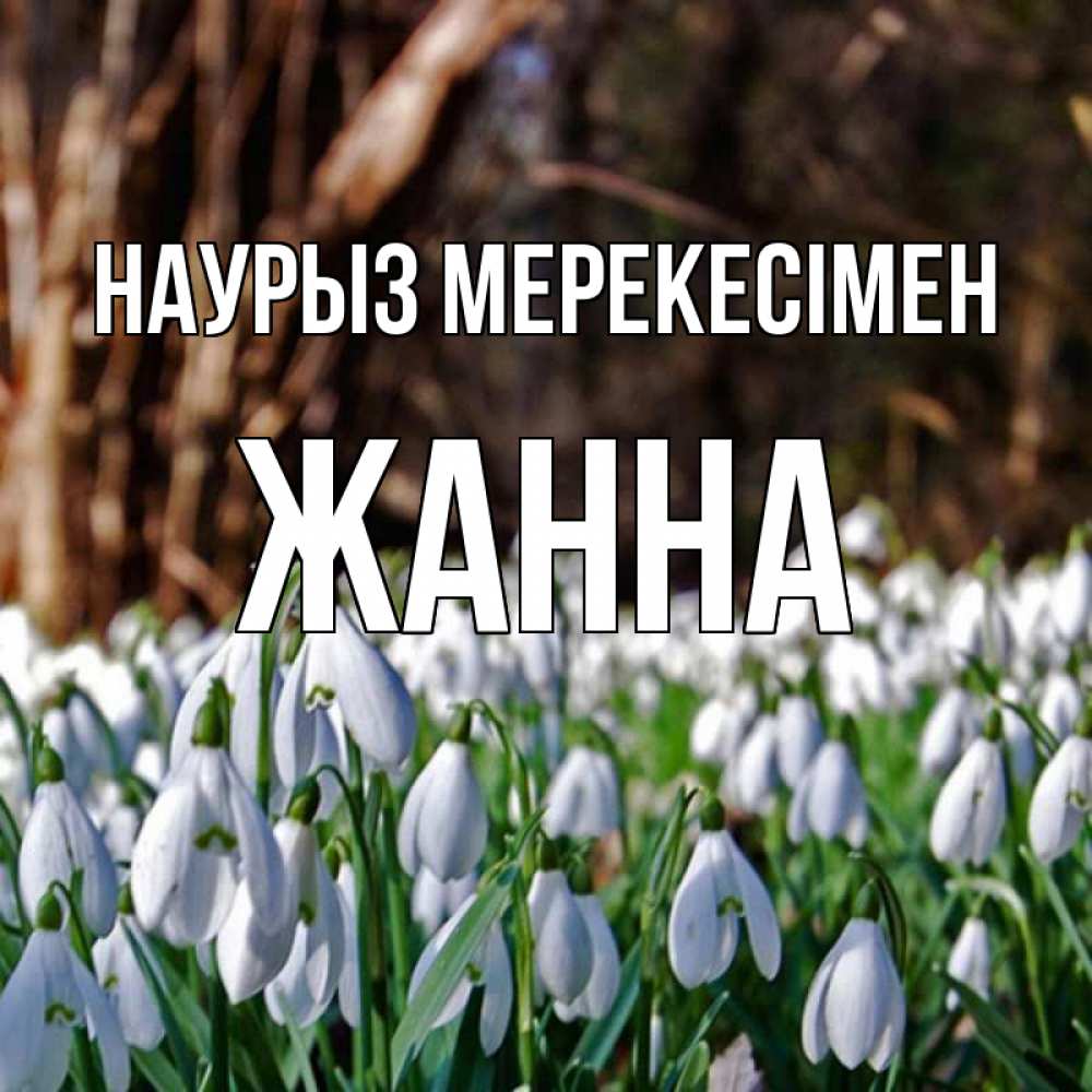 Күн сайын ашық хат с именем, ЖАННА Наурыз мерекесімен с подснежниками 1 Онлайн тегін жүктеп алу тілектері бар керемет карта 
