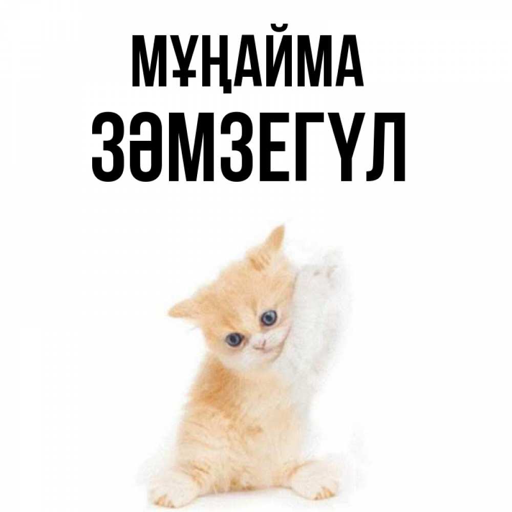 Күн сайын ашық хат с именем, ЗӘМЗЕГҮЛ Мұңайма просящий кот Онлайн тегін жүктеп алу тілектері бар керемет карта 