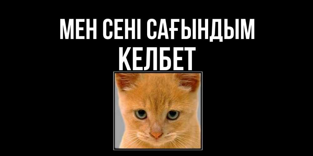 Күн сайын ашық хат с именем, КЕЛБЕТ Мен сені сағындым открытки рыжий котенок скучает по тебе Онлайн тегін жүктеп алу тілектері бар керемет карта 