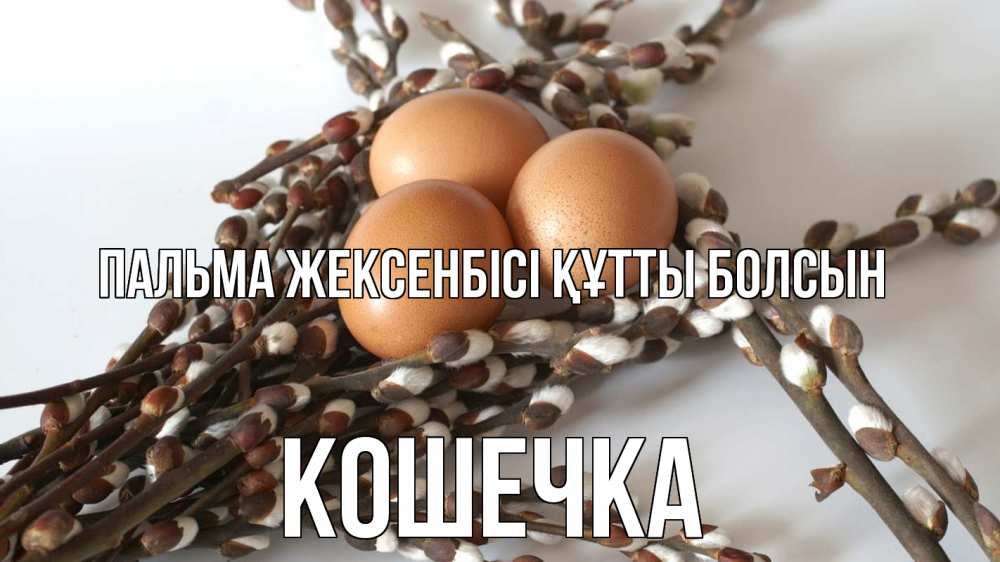 Күн сайын ашық хат с именем, Кошечка Пальма жексенбісі құтты болсын верба 1 Онлайн тегін жүктеп алу тілектері бар керемет карта 