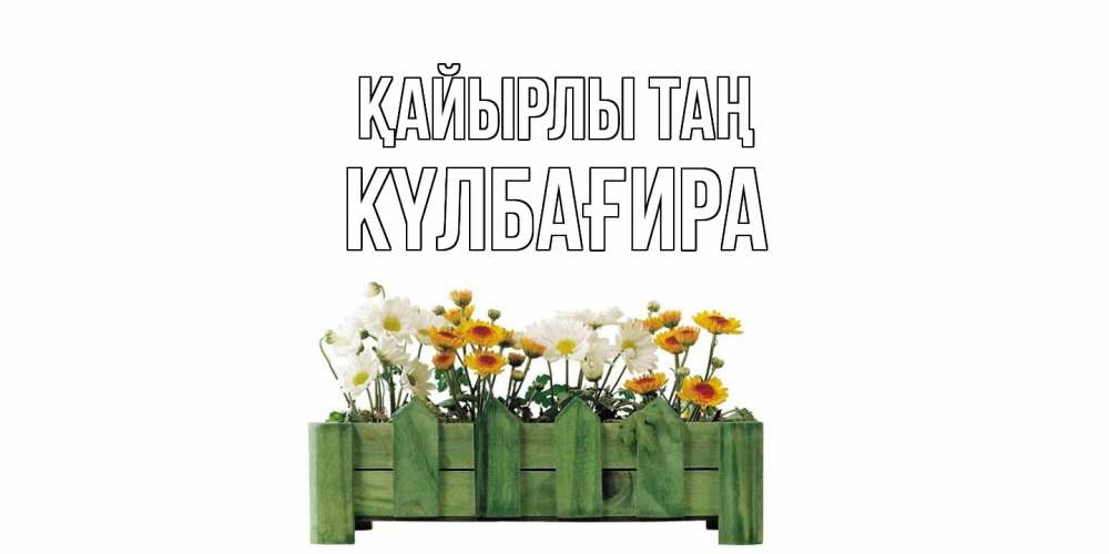 Күн сайын ашық хат с именем, КҮЛБАҒИРА Қайырлы таң цветы Онлайн тегін жүктеп алу тілектері бар керемет карта 