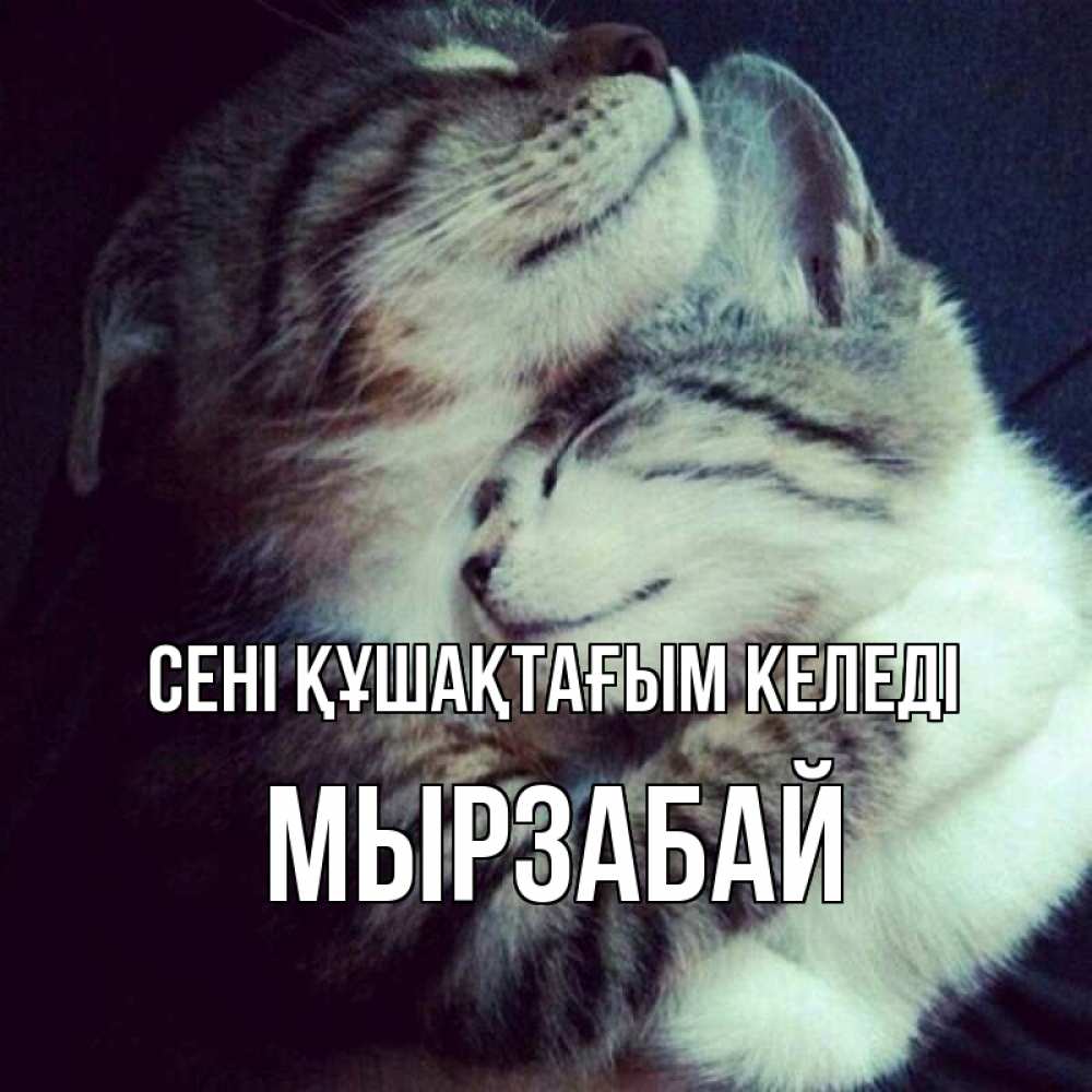 Күн сайын ашық хат с именем, Мырзабай сені құшақтағым келеді полосатики Онлайн тегін жүктеп алу тілектері бар керемет карта 
