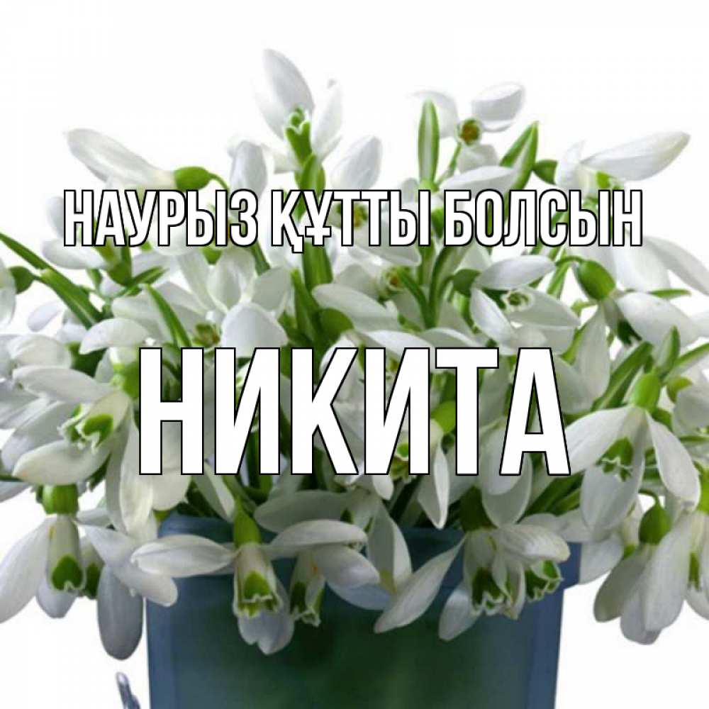 Күн сайын ашық хат с именем, Никита Наурыз құтты болсын цветы к наурызу Онлайн тегін жүктеп алу тілектері бар керемет карта 