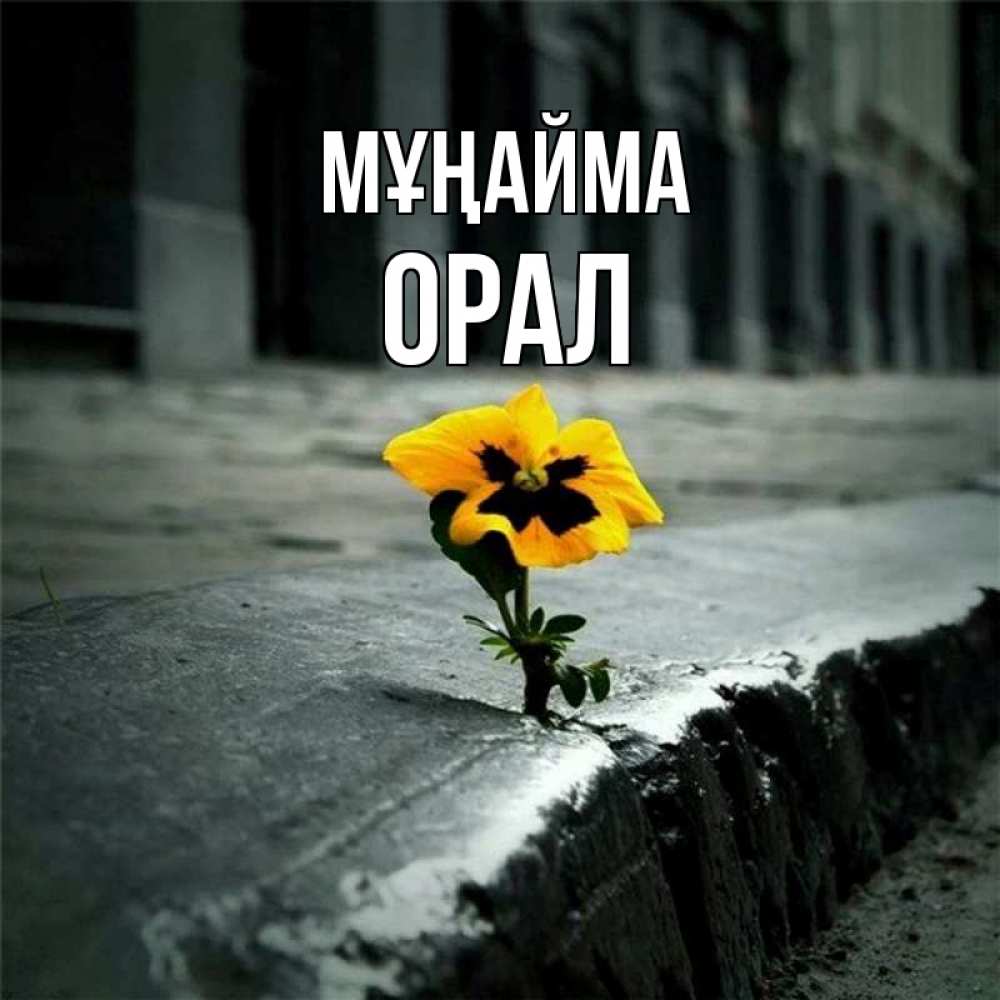 Күн сайын ашық хат с именем, ОРАЛ Мұңайма не сдавайся Онлайн тегін жүктеп алу тілектері бар керемет карта 