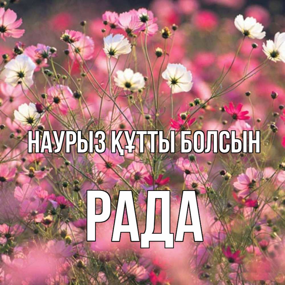 Күн сайын ашық хат с именем, Рада Наурыз құтты болсын красиво 1 Онлайн тегін жүктеп алу тілектері бар керемет карта 
