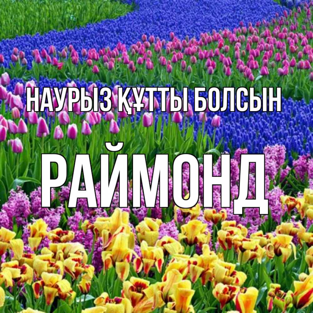 Күн сайын ашық хат с именем, Раймонд Наурыз құтты болсын цветы Онлайн тегін жүктеп алу тілектері бар керемет карта 