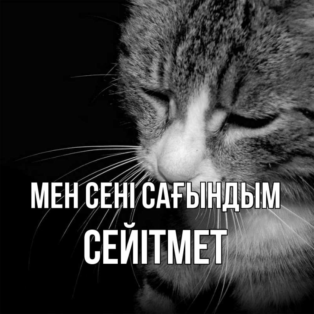 Күн сайын ашық хат с именем, СЕЙІТМЕТ Мен сені сағындым мне скучно Онлайн тегін жүктеп алу тілектері бар керемет карта 