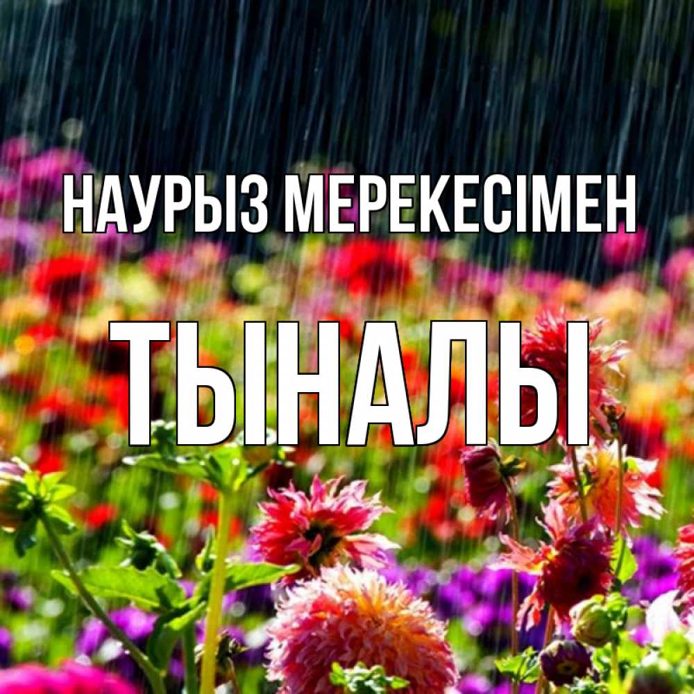 Күн сайын ашық хат с именем, ТЫНАЛЫ Наурыз мерекесімен цветы под дождиком к международному женскому дню Онлайн тегін жүктеп алу тілектері бар керемет карта 