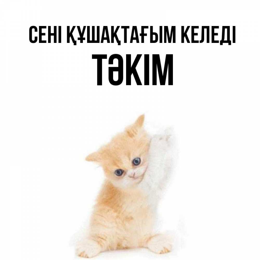 Күн сайын ашық хат с именем, ТӘКІМ сені құшақтағым келеді я хочу очень скорее обнимаешек Онлайн тегін жүктеп алу тілектері бар керемет карта 