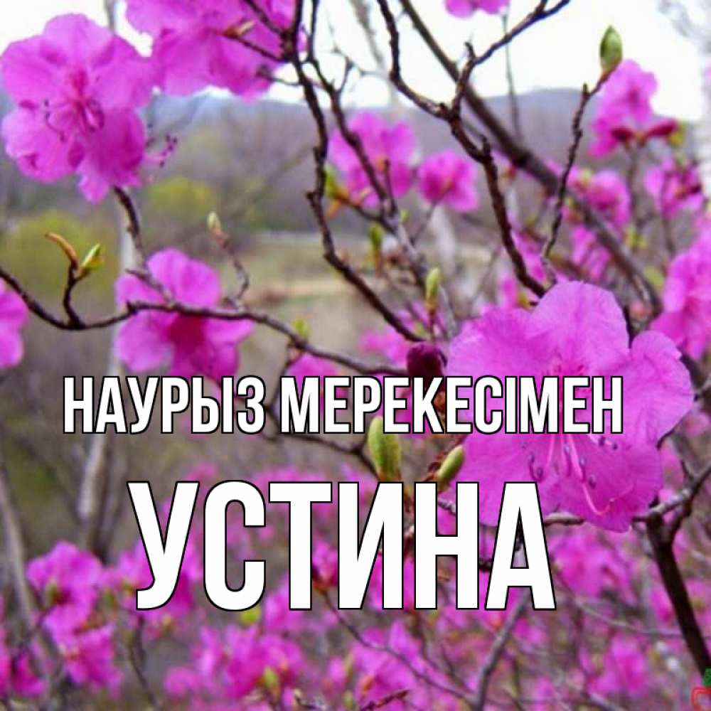 Күн сайын ашық хат с именем, Устина Наурыз мерекесімен праздник весны наурыз Онлайн тегін жүктеп алу тілектері бар керемет карта 