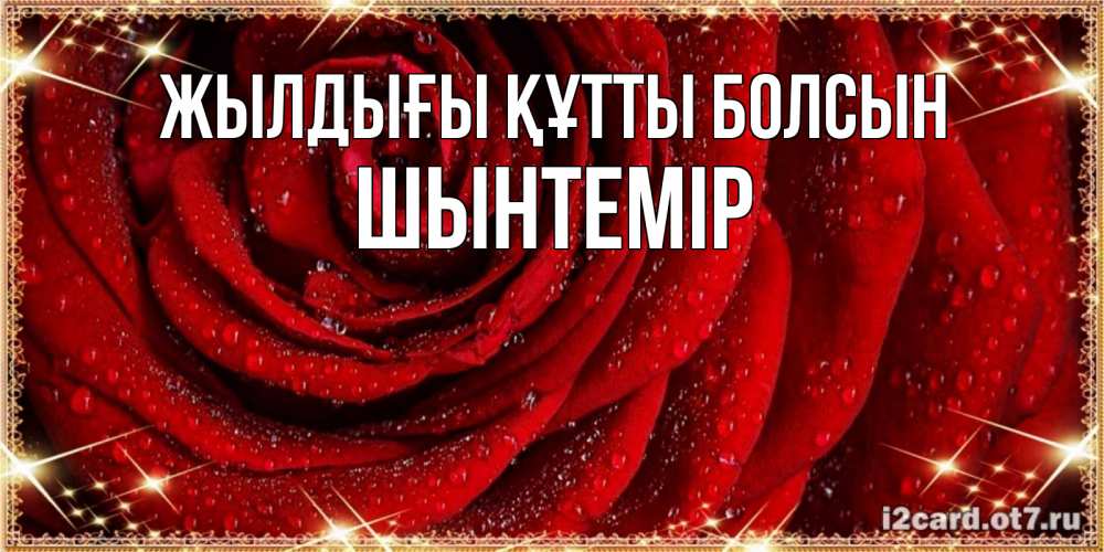 Күн сайын ашық хат с именем, ШЫНТЕМІР Жылдығы құтты болсын роса на розе блестящая в лучах солнца Онлайн тегін жүктеп алу тілектері бар керемет карта 