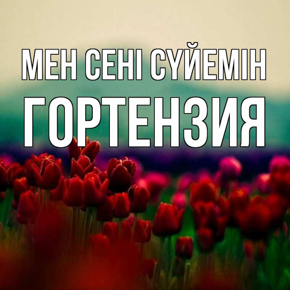 Күн сайын ашық хат с именем, Гортензия Мен сені сүйемін тюльпаны 4 Онлайн тегін жүктеп алу тілектері бар керемет карта 