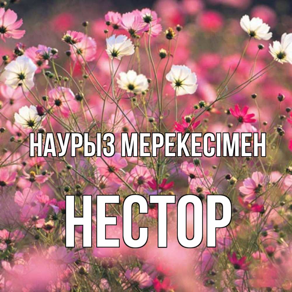 Күн сайын ашық хат с именем, Нестор Наурыз мерекесімен красиво 1 Онлайн тегін жүктеп алу тілектері бар керемет карта 