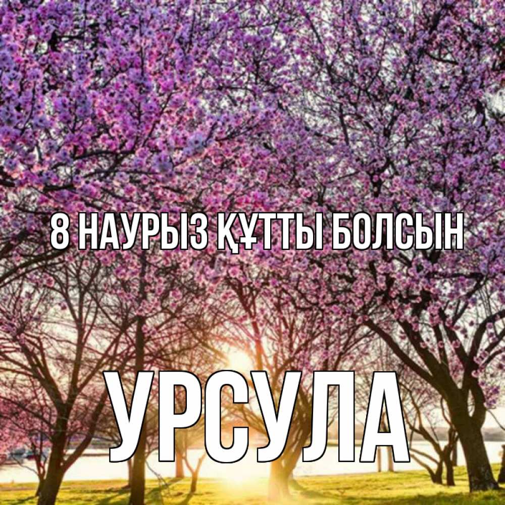 Күн сайын ашық хат с именем, Урсула 8 наурыз құтты болсын международный женский день Онлайн тегін жүктеп алу тілектері бар керемет карта 