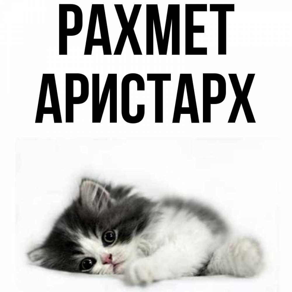 Күн сайын ашық хат с именем, Аристарх рахмет черный и белый кот Онлайн тегін жүктеп алу тілектері бар керемет карта 