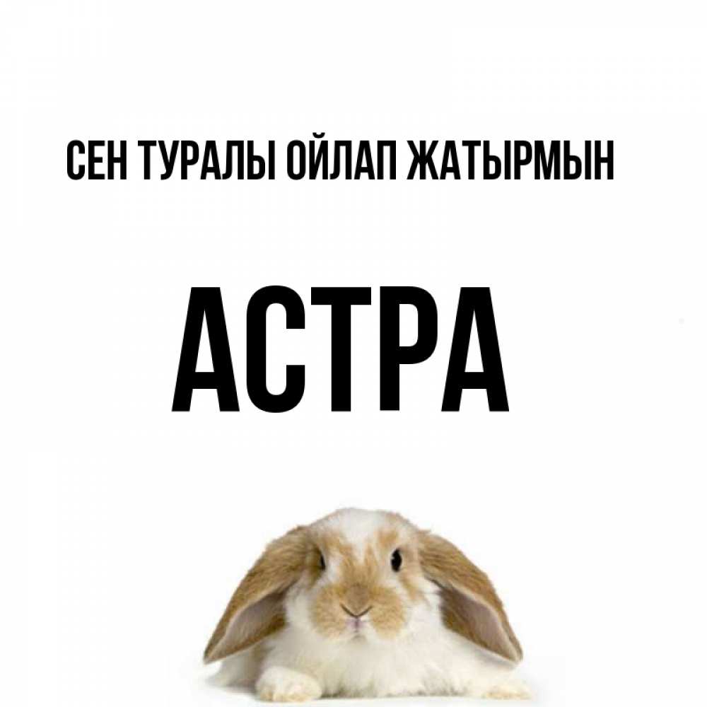 Күн сайын ашық хат с именем, Астра Сен туралы ойлап жатырмын подписать своими руками онлайн Онлайн тегін жүктеп алу тілектері бар керемет карта 