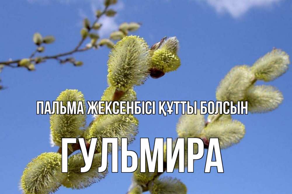 Күн сайын ашық хат с именем, Гульмира Пальма жексенбісі құтты болсын верба Онлайн тегін жүктеп алу тілектері бар керемет карта 