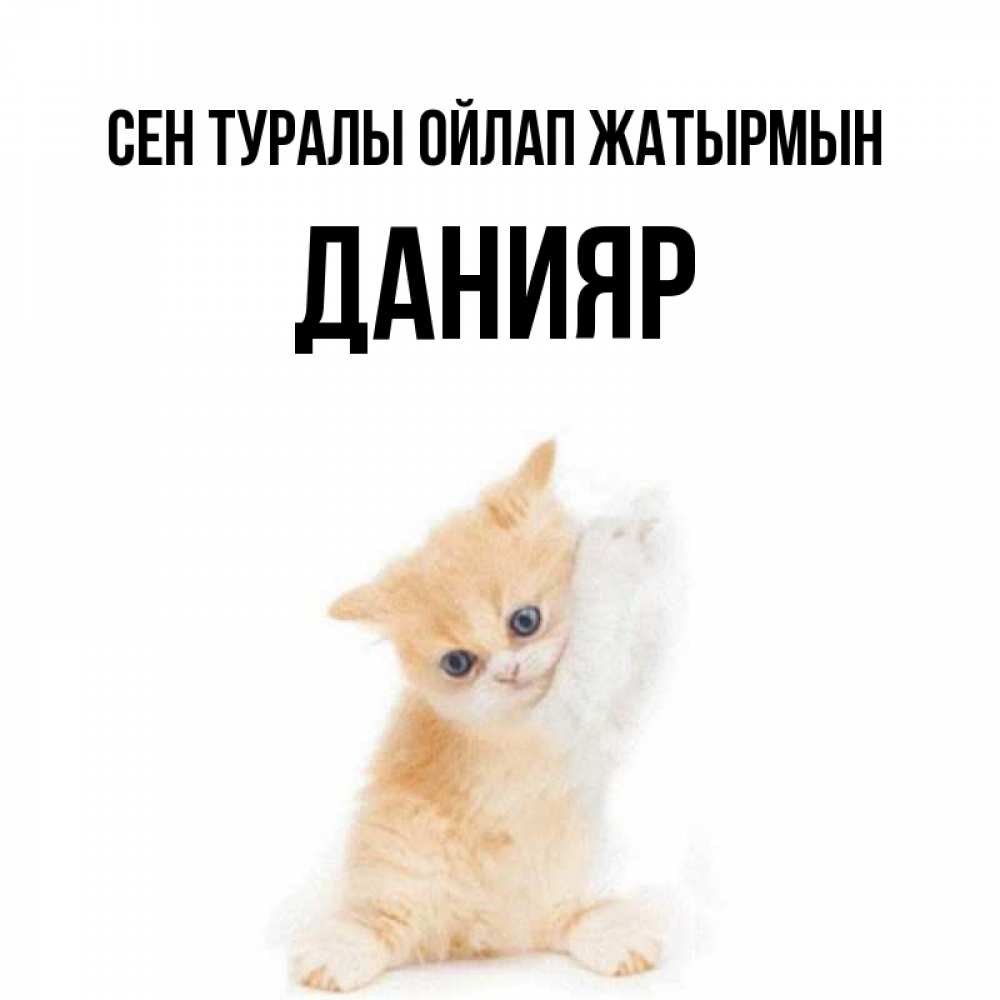 Күн сайын ашық хат с именем, Данияр Сен туралы ойлап жатырмын зверушки и милота Онлайн тегін жүктеп алу тілектері бар керемет карта 