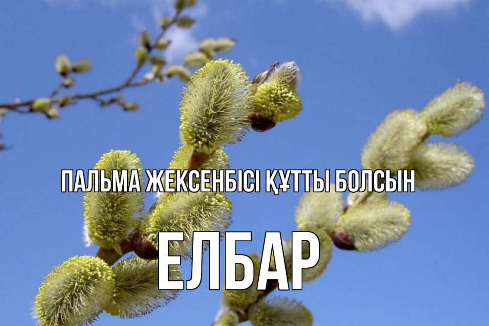 Күн сайын ашық хат с именем, Елбар Пальма жексенбісі құтты болсын верба Онлайн тегін жүктеп алу тілектері бар керемет карта 