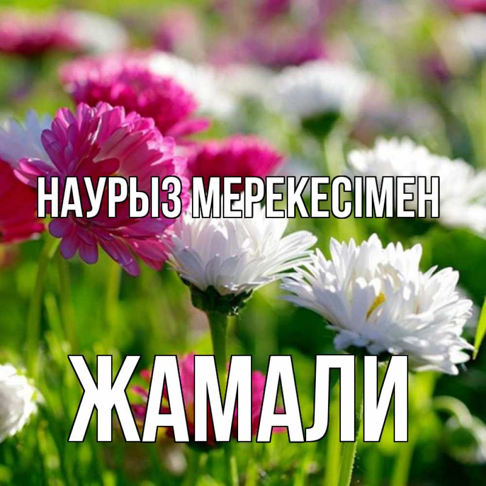 Күн сайын ашық хат с именем, ЖАМАЛИ Наурыз мерекесімен праздник весны наурыз красота Онлайн тегін жүктеп алу тілектері бар керемет карта 