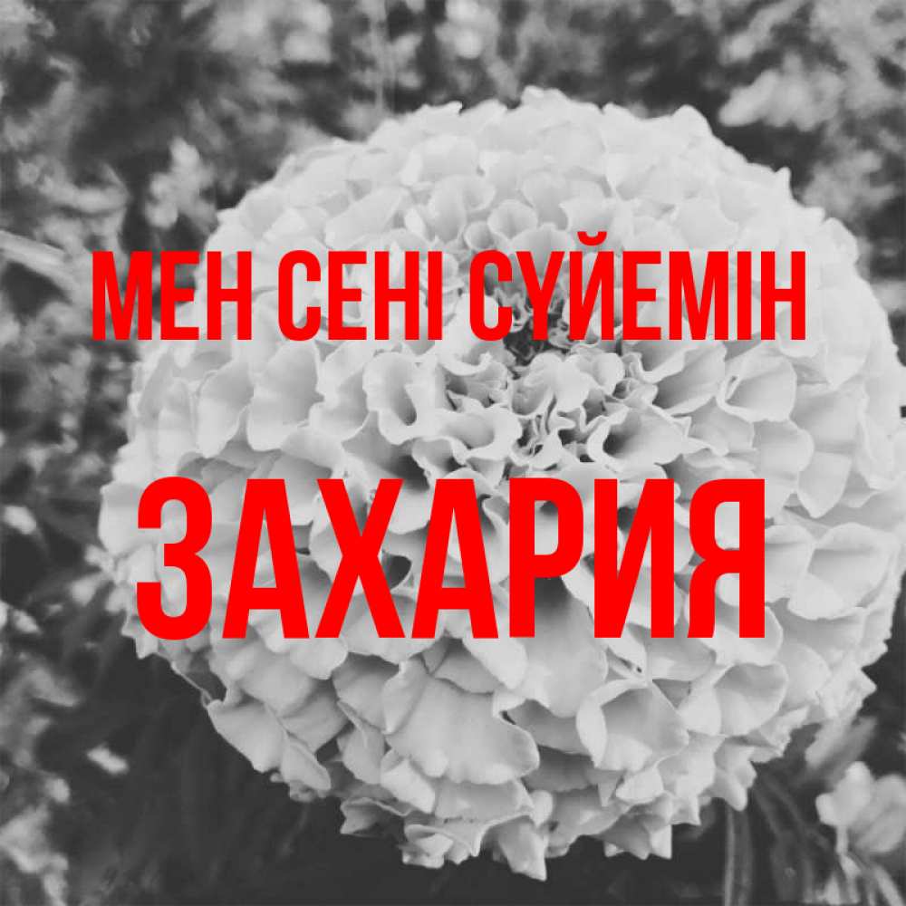 Күн сайын ашық хат с именем, Захария Мен сені сүйемін подпись Онлайн тегін жүктеп алу тілектері бар керемет карта 
