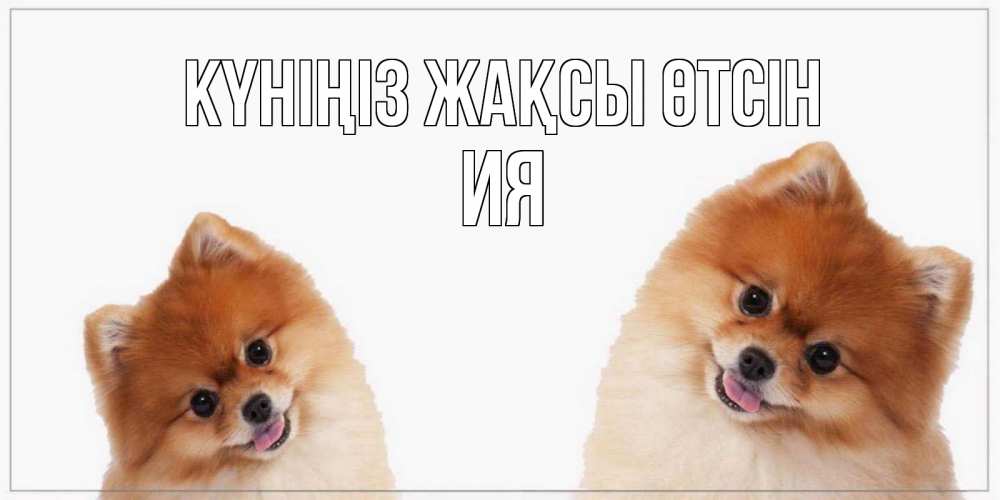Күн сайын ашық хат с именем, Ия Күніңіз жақсы өтсін собачки желают прекрасного дня Онлайн тегін жүктеп алу тілектері бар керемет карта 