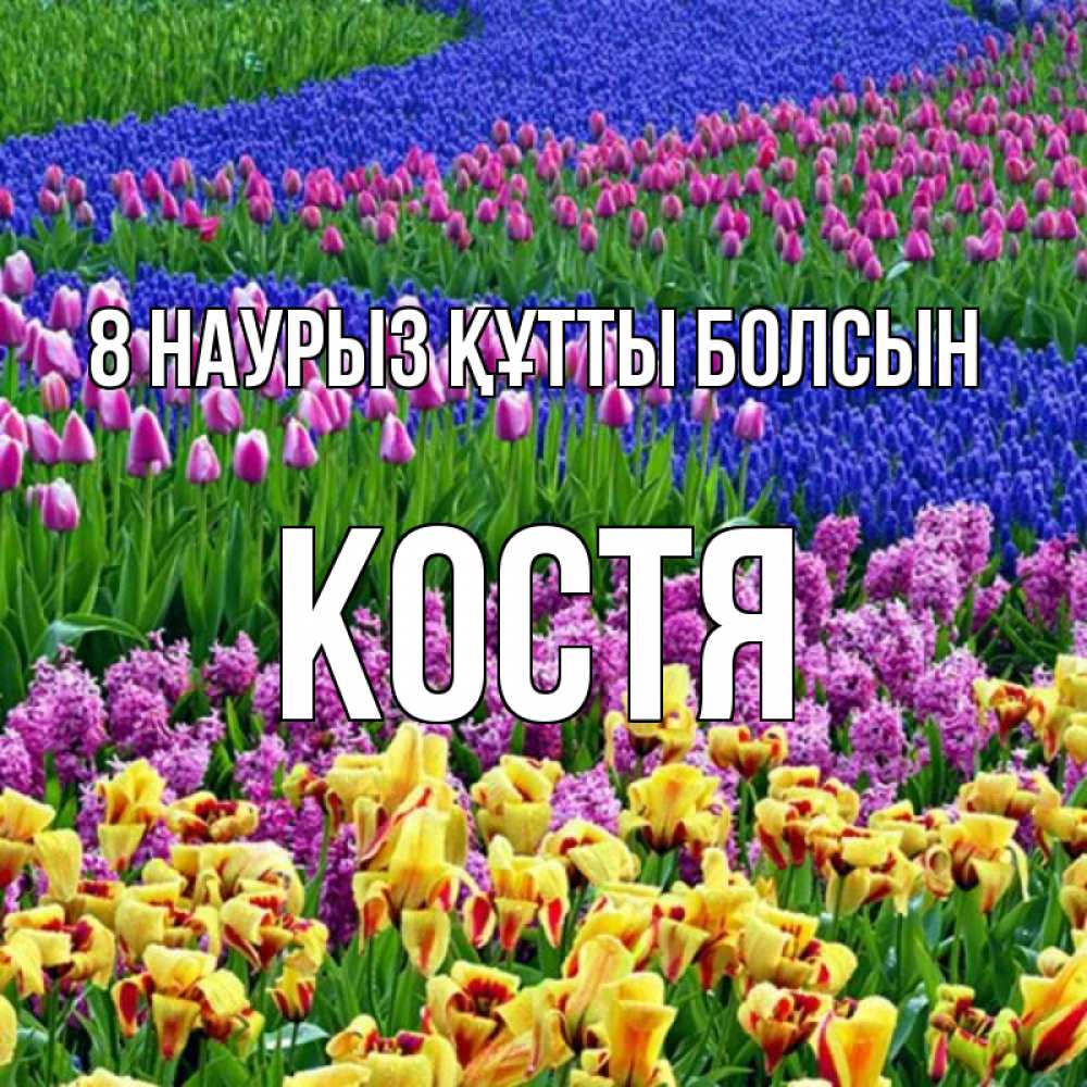 Күн сайын ашық хат с именем, Костя 8 наурыз құтты болсын цветы Онлайн тегін жүктеп алу тілектері бар керемет карта 