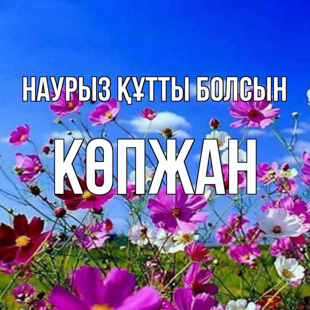 Күн сайын ашық хат с именем, Көпжан Наурыз құтты болсын цветы Онлайн тегін жүктеп алу тілектері бар керемет карта 