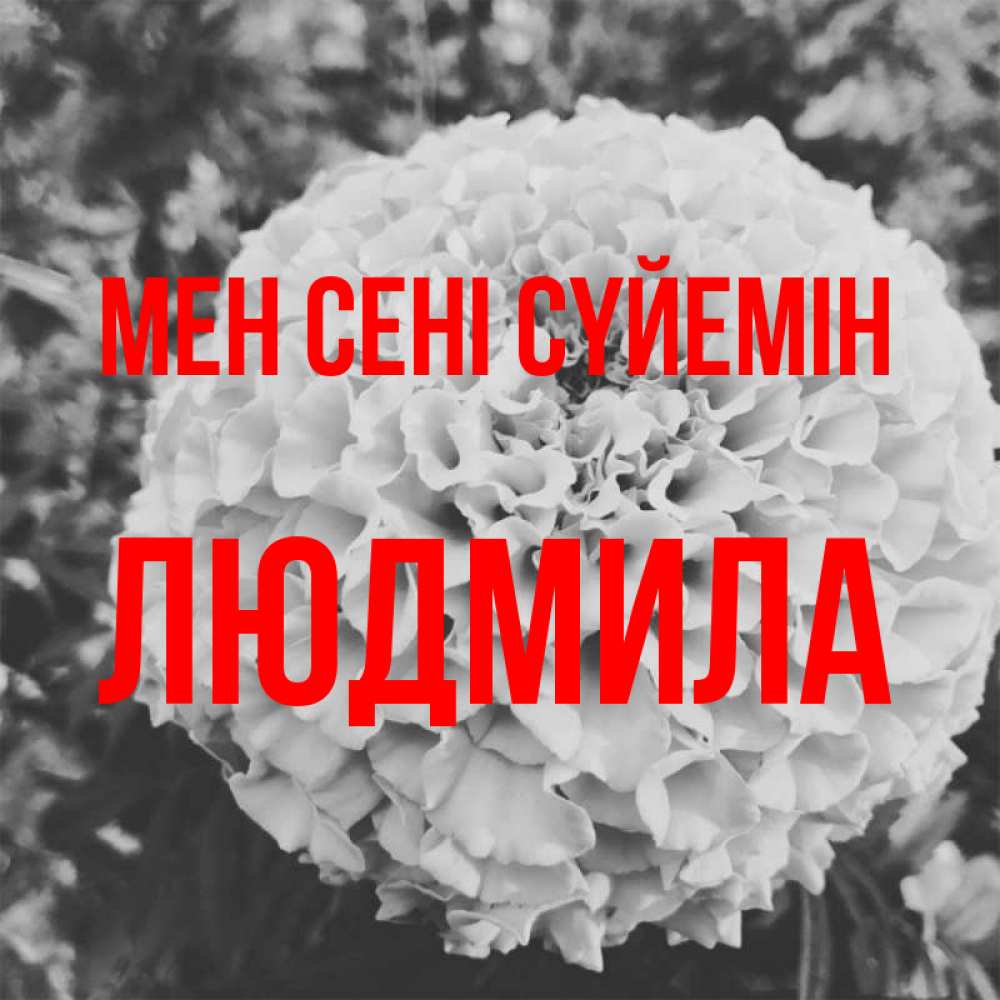 Күн сайын ашық хат с именем, Людмила Мен сені сүйемін подпись Онлайн тегін жүктеп алу тілектері бар керемет карта 