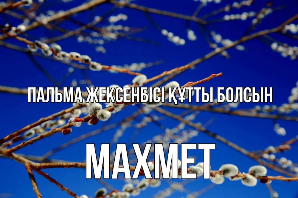 Күн сайын ашық хат с именем, МАХМЕТ Пальма жексенбісі құтты болсын верба Онлайн тегін жүктеп алу тілектері бар керемет карта 