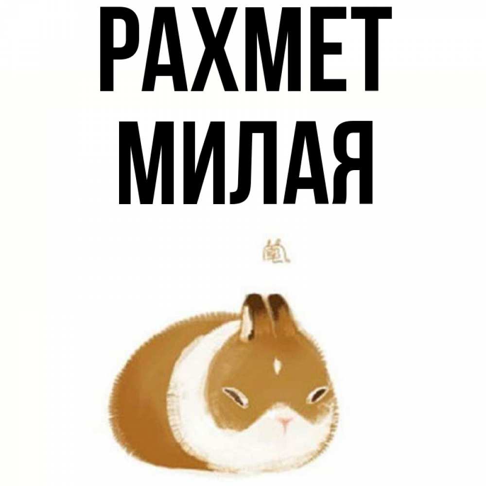Күн сайын ашық хат с именем, Милая рахмет коричнево белый домашний питомец Онлайн тегін жүктеп алу тілектері бар керемет карта 