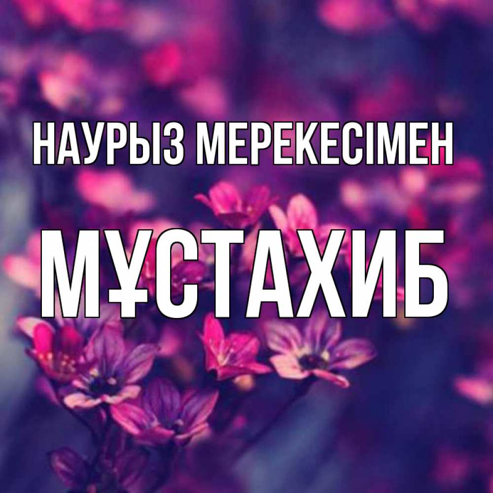 Күн сайын ашық хат с именем, МҰСТАХИБ Наурыз мерекесімен небольшие цветы 1 Онлайн тегін жүктеп алу тілектері бар керемет карта 