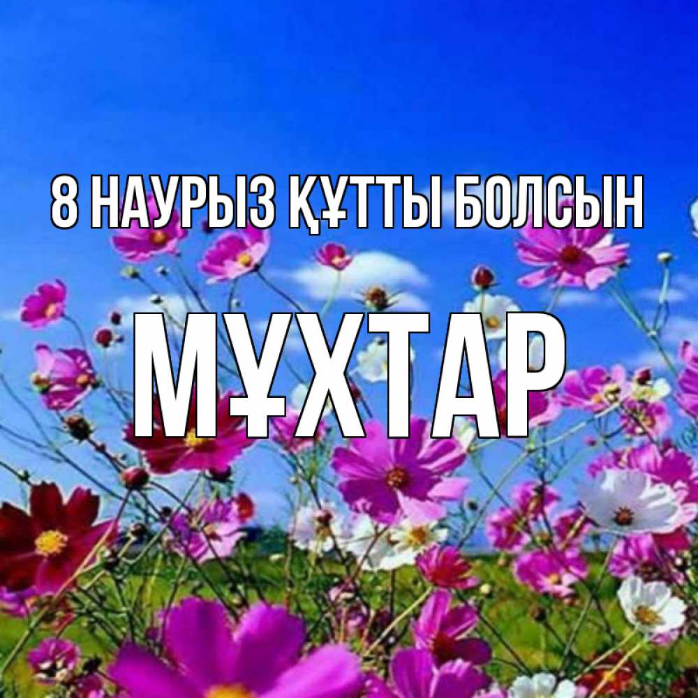 Күн сайын ашық хат с именем, МҰХТАР 8 наурыз құтты болсын цветы Онлайн тегін жүктеп алу тілектері бар керемет карта 