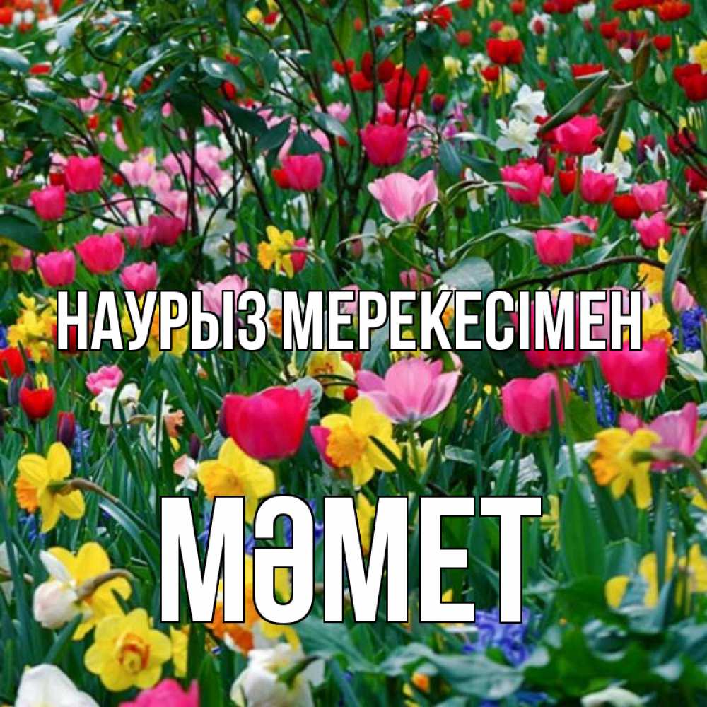 Күн сайын ашық хат с именем, Мәмет Наурыз мерекесімен с наурызом праздником весны поздравления для женщины Онлайн тегін жүктеп алу тілектері бар керемет карта 