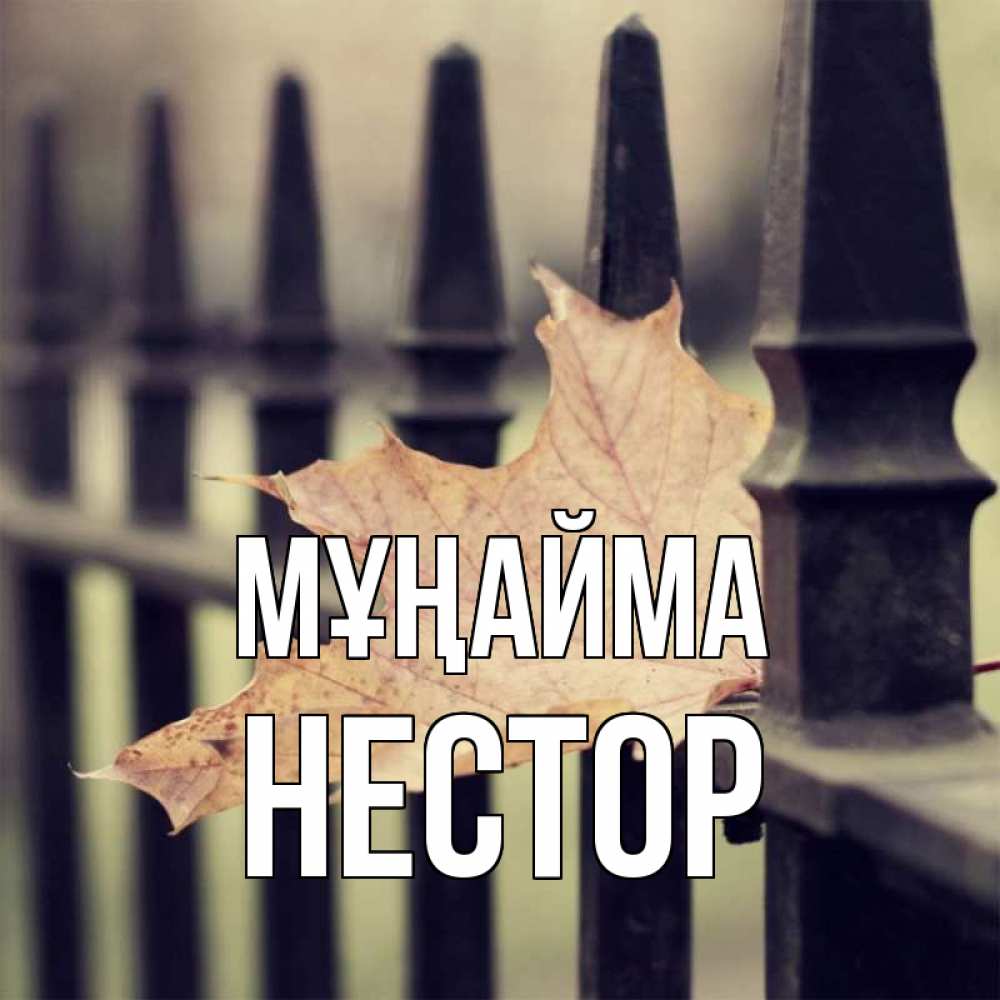 Күн сайын ашық хат с именем, Нестор Мұңайма лист клена Онлайн тегін жүктеп алу тілектері бар керемет карта 