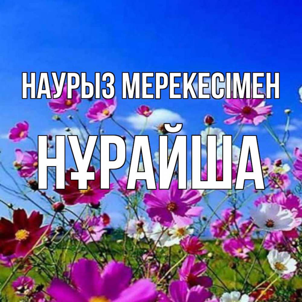 Күн сайын ашық хат с именем, НҰРАЙША Наурыз мерекесімен цветы Онлайн тегін жүктеп алу тілектері бар керемет карта 