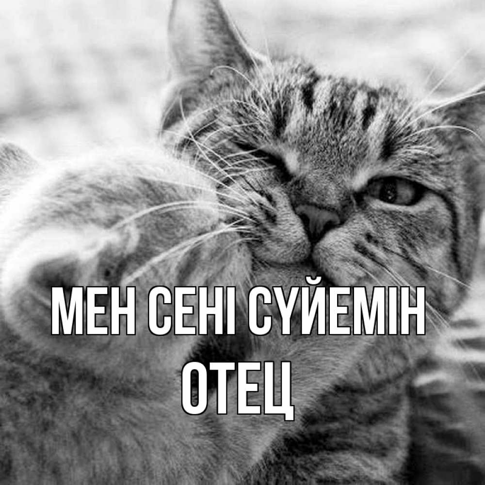 Күн сайын ашық хат с именем, Отец Мен сені сүйемін коты Онлайн тегін жүктеп алу тілектері бар керемет карта 