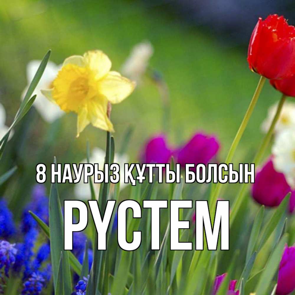 Күн сайын ашық хат с именем, РҮСТЕМ 8 наурыз құтты болсын международный женский день 3 Онлайн тегін жүктеп алу тілектері бар керемет карта 