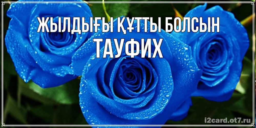 Күн сайын ашық хат с именем, ТАУФИХ Жылдығы құтты болсын розы с синим цветом Онлайн тегін жүктеп алу тілектері бар керемет карта 